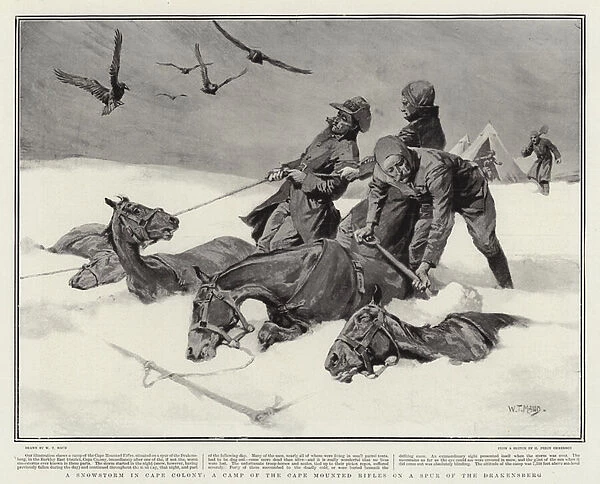 A Snowstorm in Cape Colony, a Camp of the Cape Mounted Rifles on a Spur of the Drakensberg (litho)