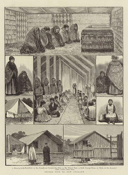 Social Life in New Zealand (engraving)