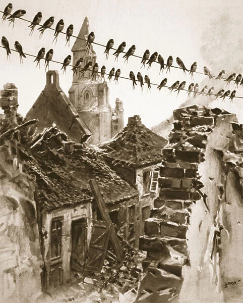 Soissons during the war: a congress of swallows discussing matters before migrating