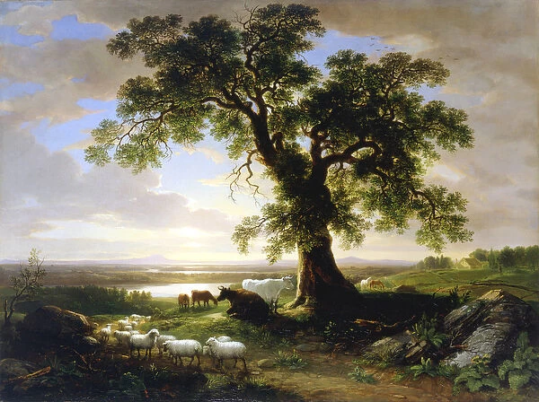 The Solitary Oak  /  The Old Oak, 1844 (oil on canvas)