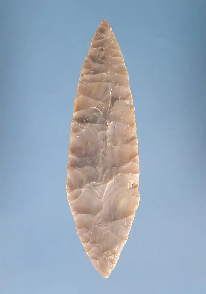 Solutrean laurel leaf blade, found at Volgu, 20000-15000 BC (stone)