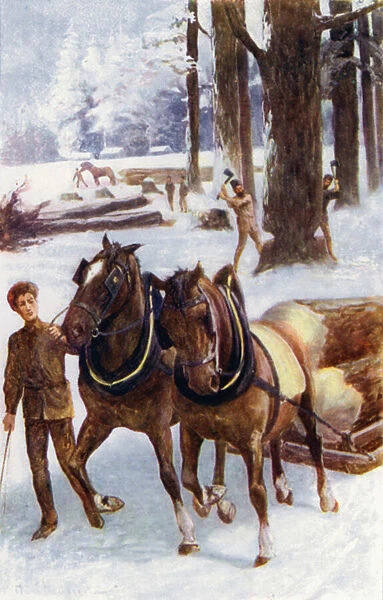 'Some engaged in felling trees, others with horses dragging the trunks, placed on sleighs, over the hard snow'(colour litho)