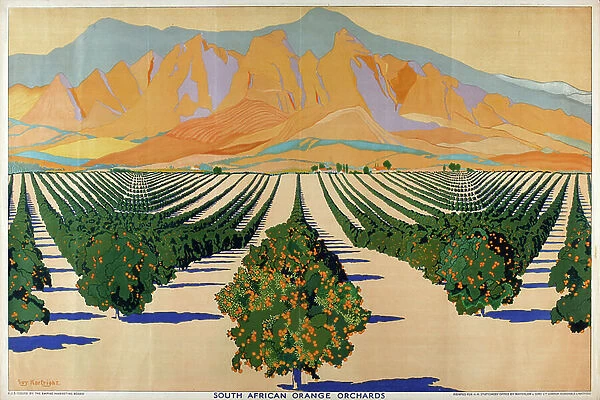 South African Orange Orchards, from the series Summer's Oranges from South Africa (colour litho)