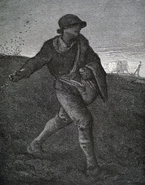 The Sower. 3732641 The Sower by Millet, Jean-Francois (1814-75); (add.info.