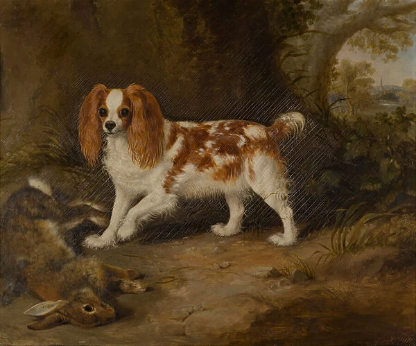 A Spaniel with a Dead Hare, c. 1822-74 (oil on canvas)