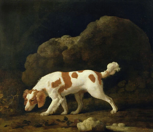 A Spaniel (oil on canvas) (for pair see 266116)