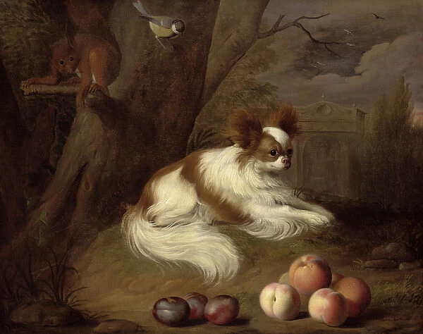 A Spaniel by a Tree with a Squirrel and a Blue-tit