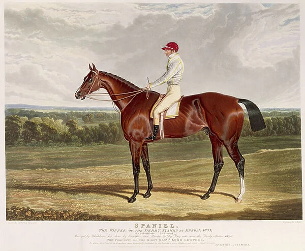Spaniel, the Winner of the Derby Stakes at Epsom, 1831