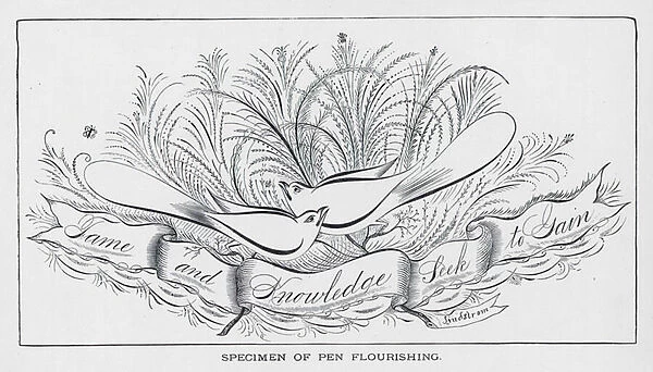 Specimen of Pen Flourishing, Fame and Knowledge Seek to Gain (engraving)