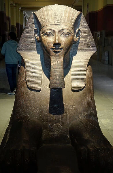 Sphinx of Queen Hatshepsut XVIII Dynasty (sculpture)