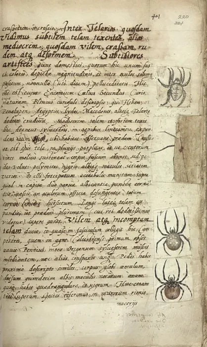 Framed Print : Spiders. Text