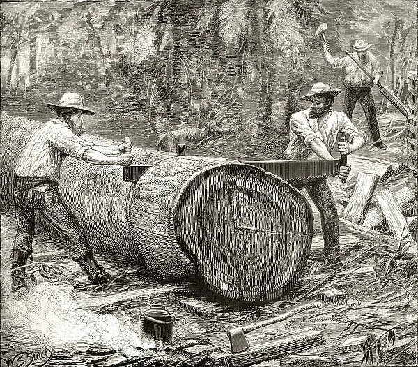 Splitters in the Bush, c. 1880, from Australian Pictures by Howard Willoughby