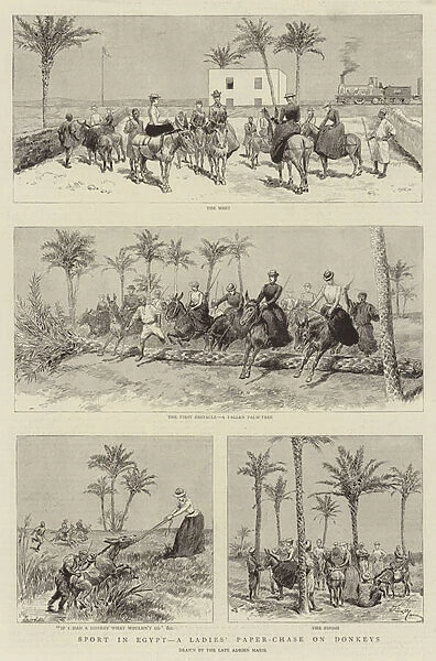 Sport in Egypt, a Ladies Paper-Chase on Donkeys (engraving)