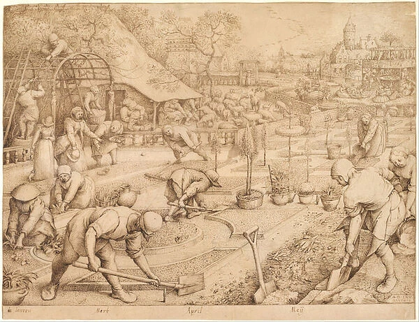 Spring, 1565 (pen & brown Indian ink on paper)