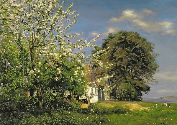 Spring Blossom, 1908 (oil on canvas)