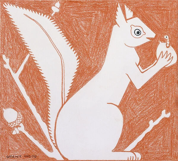 Squirrel, (coloured pencil on paper)