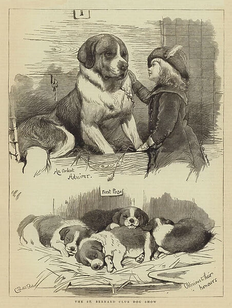 The St Bernard Club Dog Show (engraving)