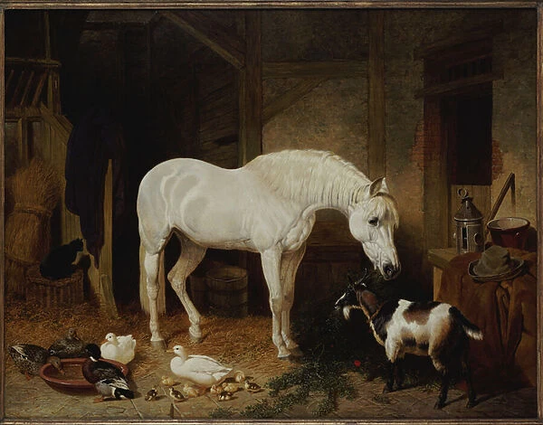 Stable Companions (oil on canvas)