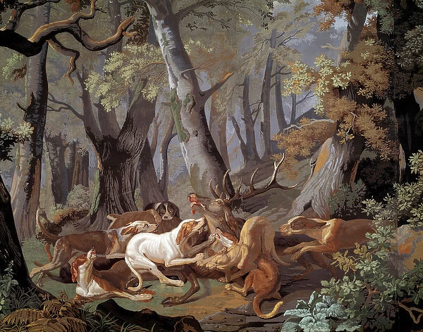 Stag Hunting Dussy wallpaper after a painting by Alexandre-Francois Desportes (1661-1743)