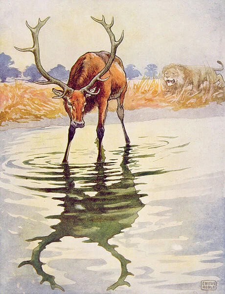 The Stag and its Reflection from Aesops Fables, pub. by Raphael Tuck & Sons Ltd. London (book illustration)
