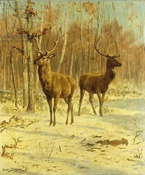 Two Stags in a Clearing in Winter (oil on canvas)