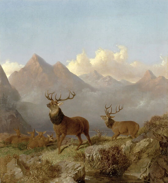 Detail of Stags And Hinds In A Highland Landscape, 1864 (oil on canvas)