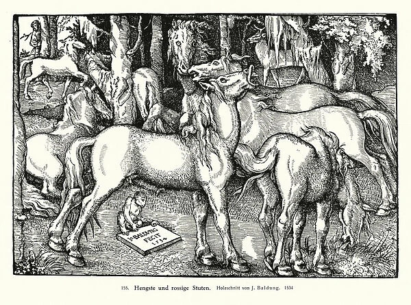 Stallions and mares (woodcut)