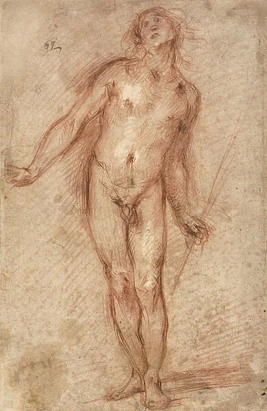 Standing male nude, 1637-38 (red chalk, heightened with traces of white chalk