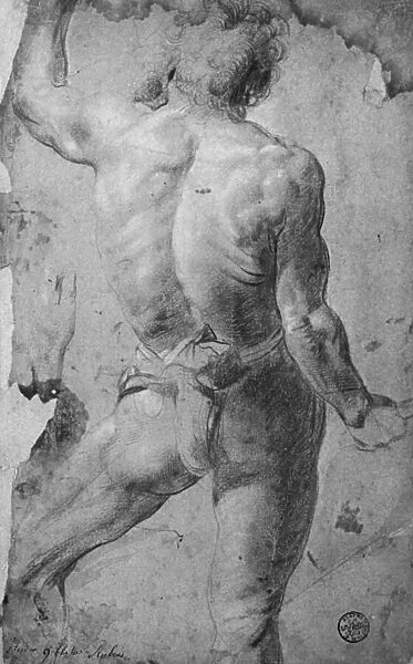 Standing male nude (black chalk & sanguine on paper)