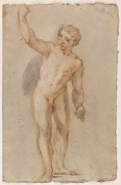 Standing Male Nude (black, red & brown chalk)