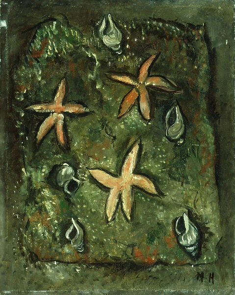 Star fish and shells, 1935-36 (oil on canvas)