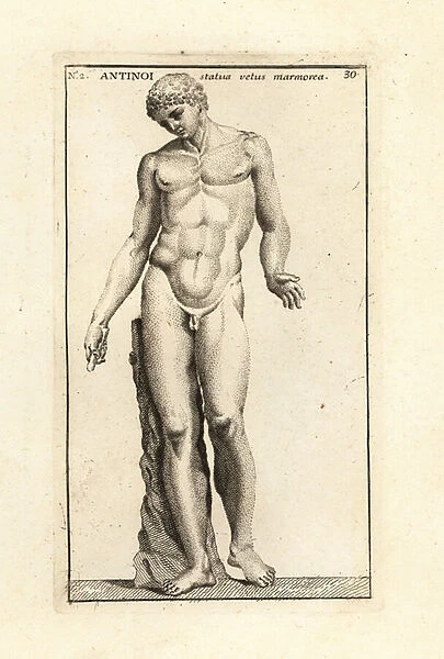 Statue of Antinous, Emperor Hadrians lover. 1779 (engraving)