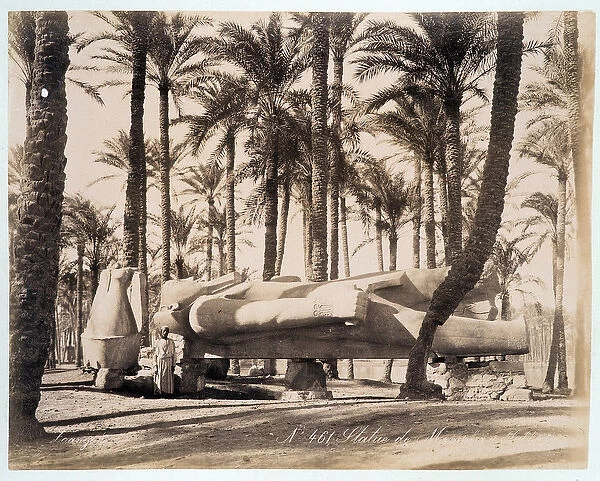 A statue of Memphis lies in a palm grove in Egypt - photograph by the Zangali brothers