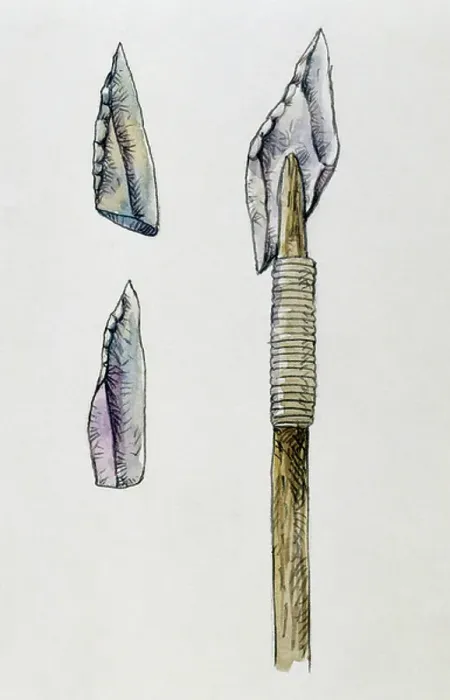 Framed Print : Stone arrowheads and tools, drawing, Prehistory, Mesolithic