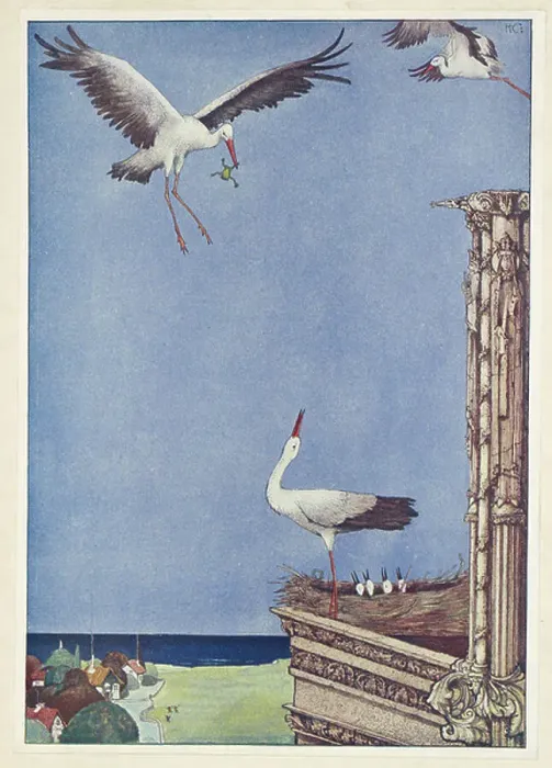 Framed Print : The Storks