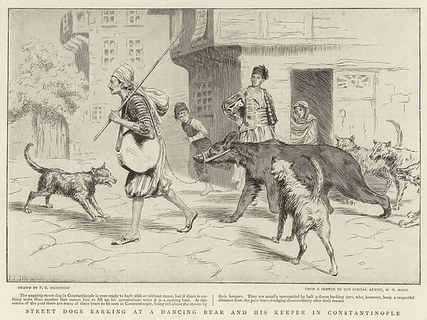 Street Dogs barking at a Dancing Bear and his Keeper in Constantinople (engraving)