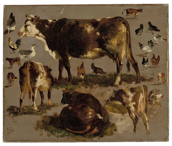 Studies of Cows, Hens, Roosters, a Goose and a Sheep (oil on canvas)