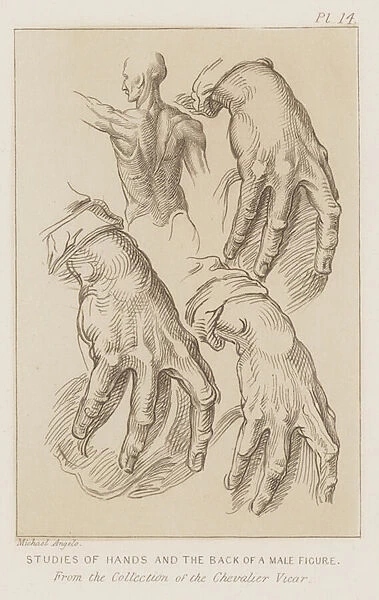 Studies of hands and the back of a male figure (etching)