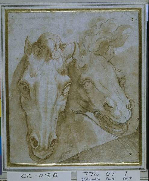 Studies for the heads of two horses (black & red chalks on paper)