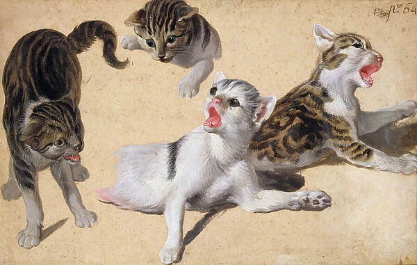 Four Studies of Kittens (oil on light brown paper)