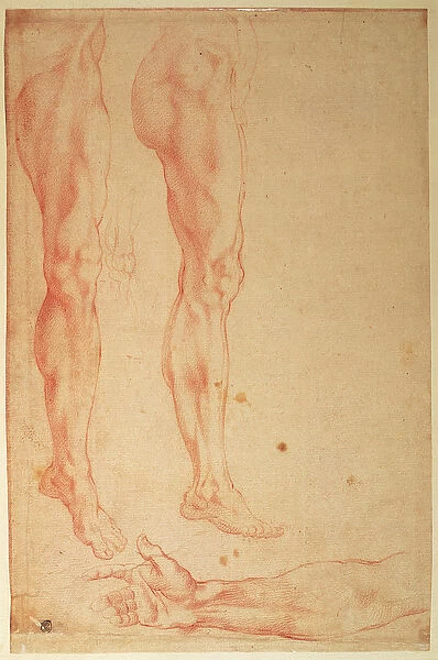 Studies of Legs and Arms (red chalk on paper)
