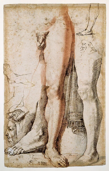 Studies of a mans left leg, a left hand and a man