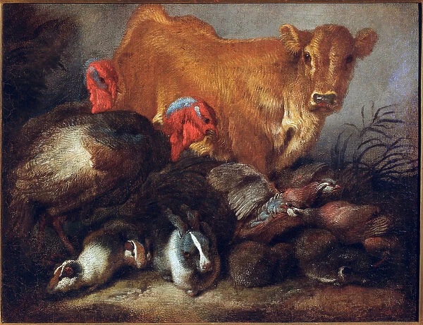 Study of animals Cow, turkey, rabbit, Painting by Giovanni Benedetto Castiglione dit il