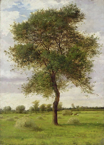 Study of an Ash Tree in Summer, 1883 (oil on canvas)