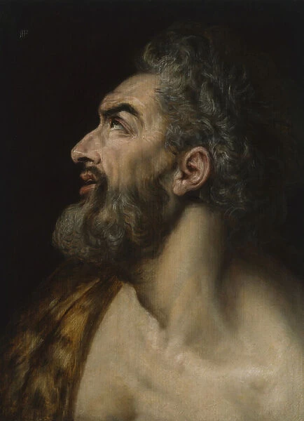 Study head of a bearded man, c. 1565 (oil on panel)