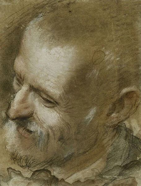 Study of the Head of a Bearded Man Turned to the Left, 1590 (black, red
