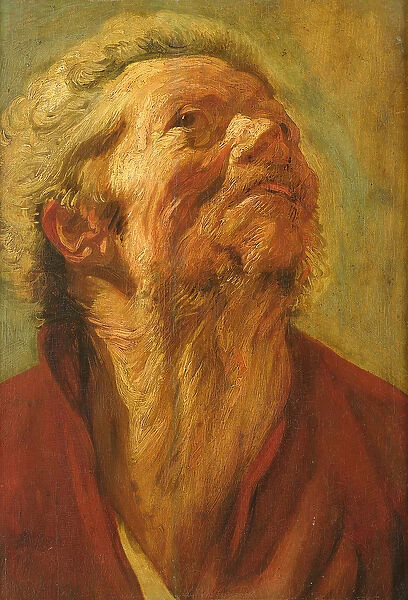 Study of a Head, or Head of an Apostle, c. 1620 (oil on canvas)