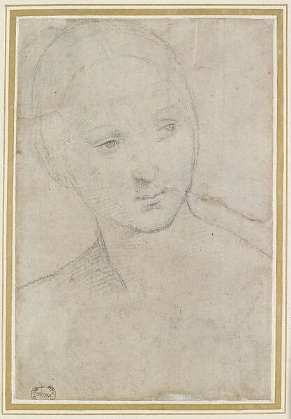 Study of the Head of a young Woman
