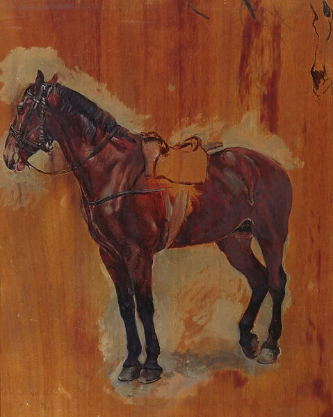 Study of a Horse (oil on panel)