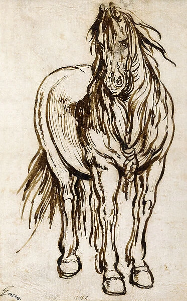 Study of a Horse, (pen and brown ink)